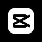 CapCut Pro